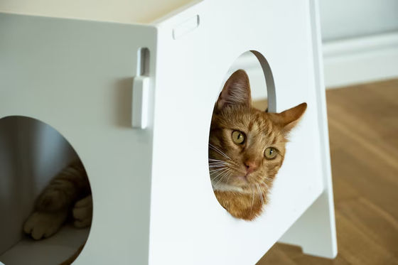 Wooden Stool Home Appliance Modern Indoor Pet Cage House for Dog and Cat Living Room