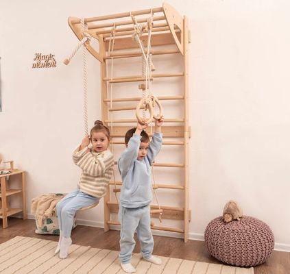 Montessori Toddler Climbing Gym High Quantity Baby Mobile Ladder with Rope Accessories