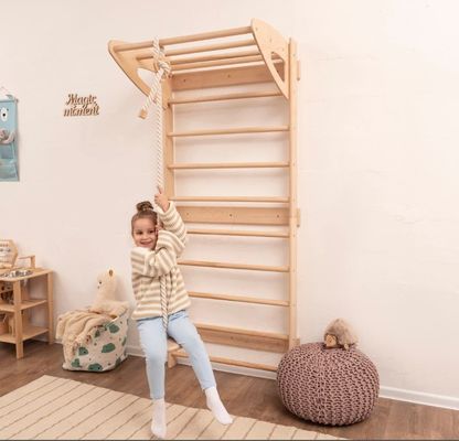 Montessori Toddler Climbing Gym High Quantity Baby Mobile Ladder with Rope Accessories