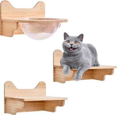 Wall-Mounted Wooden Cat Space Capsule House Transparent Furniture Set for Indoor Cats