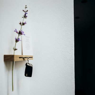 Living Room Key Hooks Wall Decoration Board with Shelf and Vase