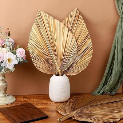 Vitalucks Logo Eco-Friendly Compostable Hand 4 Pcs Large Natural Gold Dried Palm Leaves