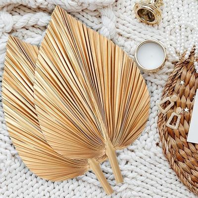 Vitalucks Logo Eco-Friendly Compostable Hand 4 Pcs Large Natural Gold Dried Palm Leaves