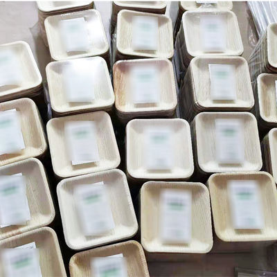 10-Piece Set of Palm Leaf Plates for Wedding Dinner Round and Square Disposable Dishes
