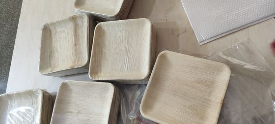 Eco-Friendly 20 Pack Biodegradable Palm Leaf Plates 10 Inch Square Sturdy Like Bamboo Disposable Elegant