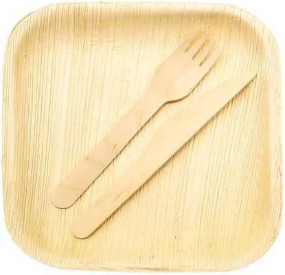 Engraved Palm Leaf Plates Compostable Bamboo-Style 6&quot; 8''10'' Square 25pk Eco Friendly
