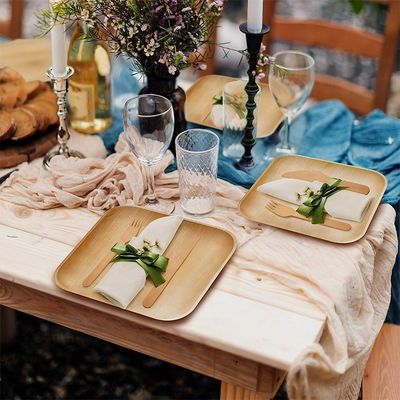 Food Beverage Manufacture Disposable Natural Palm Leaf Plates 6'' 8&quot;10&quot; Square Shape