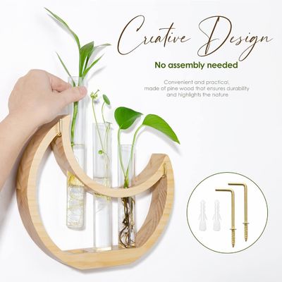 Anniversary Crescent Moon Table Stand for Indoor Houseplants and Office Decor