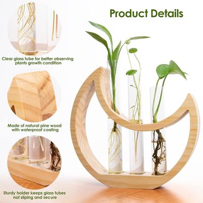 Anniversary Crescent Moon Table Stand for Indoor Houseplants and Office Decor