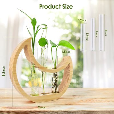Anniversary Crescent Moon Table Stand for Indoor Houseplants and Office Decor