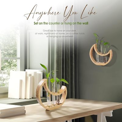 Anniversary Crescent Moon Table Stand for Indoor Houseplants and Office Decor
