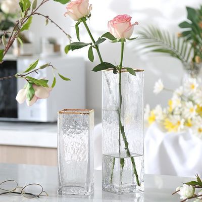 All-season Glass Tabletop Vase in Bulk Home Decor with Phnom Penh Tall Glass Modern