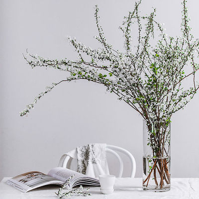 Thickened Tall Cylinder Clear Glass Vase in Europe Style with Height Range of 10-60cm