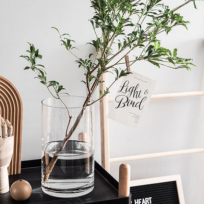 Thickened Tall Cylinder Clear Glass Vase in Europe Style with Height Range of 10-60cm