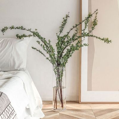 Custom Houseware Big Clear Glass Vase for All-Season Decoration 10-20cm Diameter