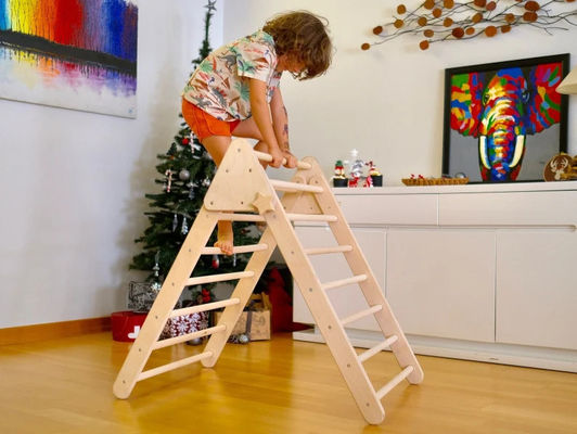 Customized Indoor Fitness Wooden Climbing Triangle Set for Kids Montessori Playground