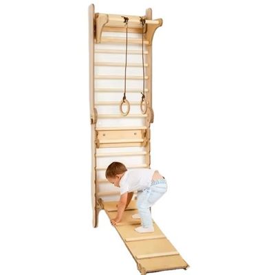 Montessori Climber Toddler Playground with Customized Logo and Kids Learning Toy