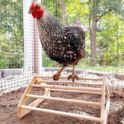 Gray Chick Perch Strong Wooden Jungle Gym Roosting Bar Chicken Toys for Coop and Brooder