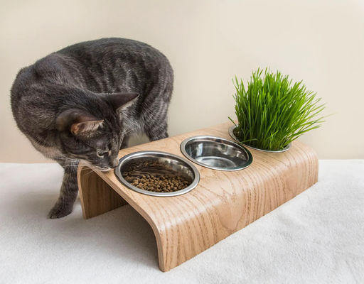Bowl Feeder Type Cups Pails Triple Bowl Pet Feeding Stand with Raised Modern Feeder