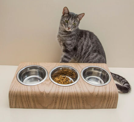 Bowl Feeder Type Cups Pails Triple Bowl Pet Feeding Stand with Raised Modern Feeder