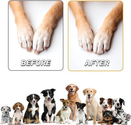 Household Wooden Dog Nail Care Scratch Pad with Snack Box Free Sample Charge