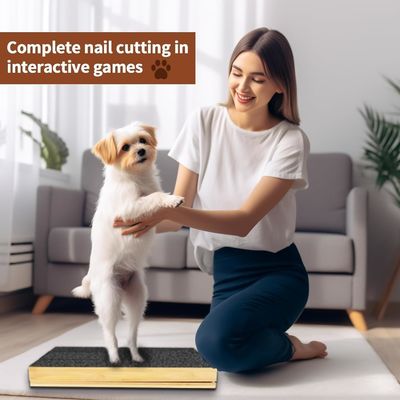 Cat/Dog Scratch Pad with Removable Cover and Adjustable Nail File in Different Angle