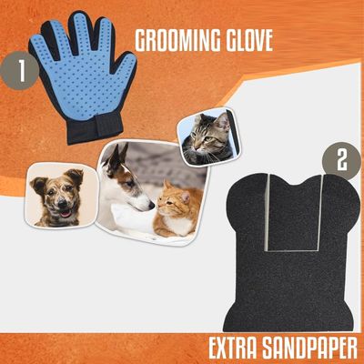 Dog Nail Scratch Board with Treat Box Bone Shaped Dog Scratching Pad for Nails Paws OEM