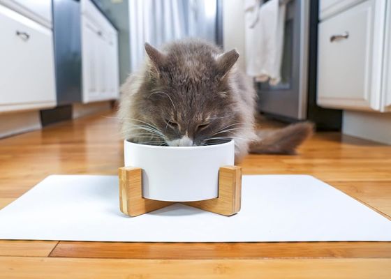 Wood Stand Adjustable Solid Wood Pet Cat Dog Food Bowl Pet Feeders with NO Time Setting