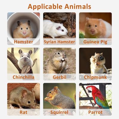 Hamster Standing Platform Exercise Toy Cage Accessories with Push-up Closure Type