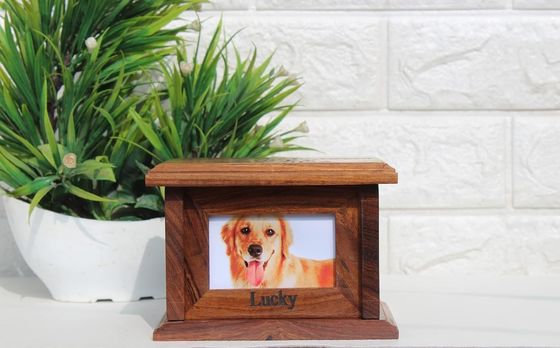 Pet Caskets Urns Wooden Keepsake Box for Lovingly Storing Ashes of Beloved Dog or Cat