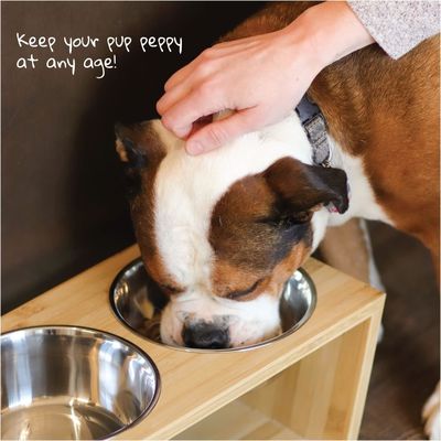 Medium Dog Elevated Bowl Stand 7 Raised Bowls Pet Feeder with Four Stainless Steel Bowls