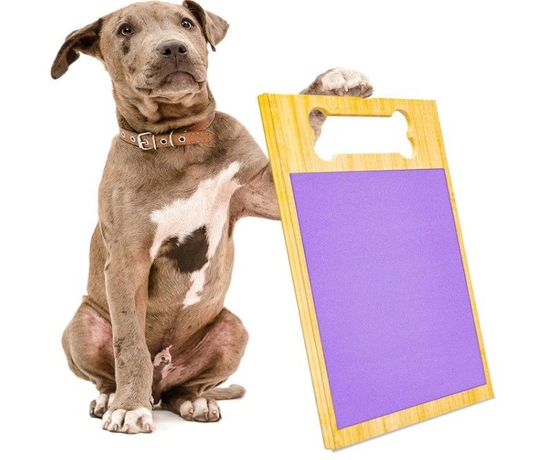 Dog Nail File Scratch Pad High Quantity Advantage for Dogs' Nail Grinding Nails