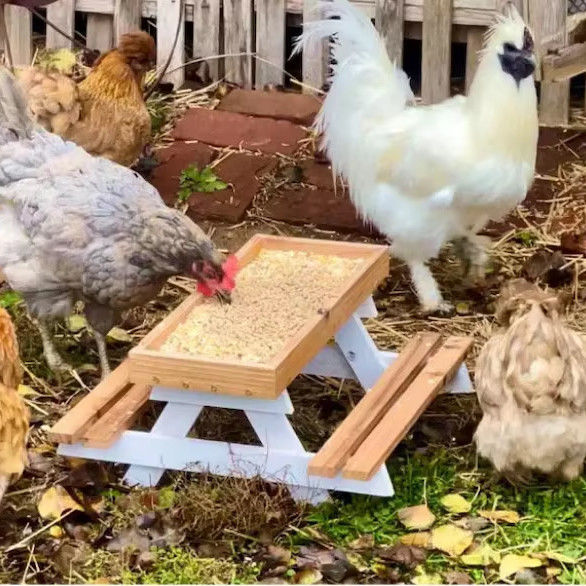 Pet Feeder Mini Picnic Table Chicken Feeder for Small Animals NO LCD Display