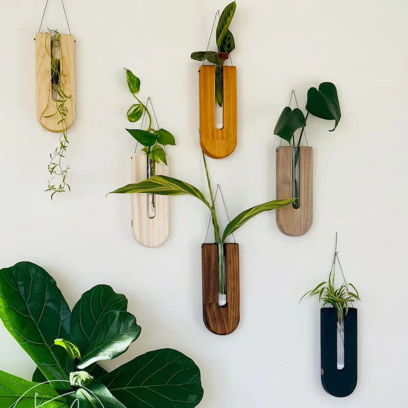 Modern Design Style Propagation Station for Wooden Wall Planter and Home Decor