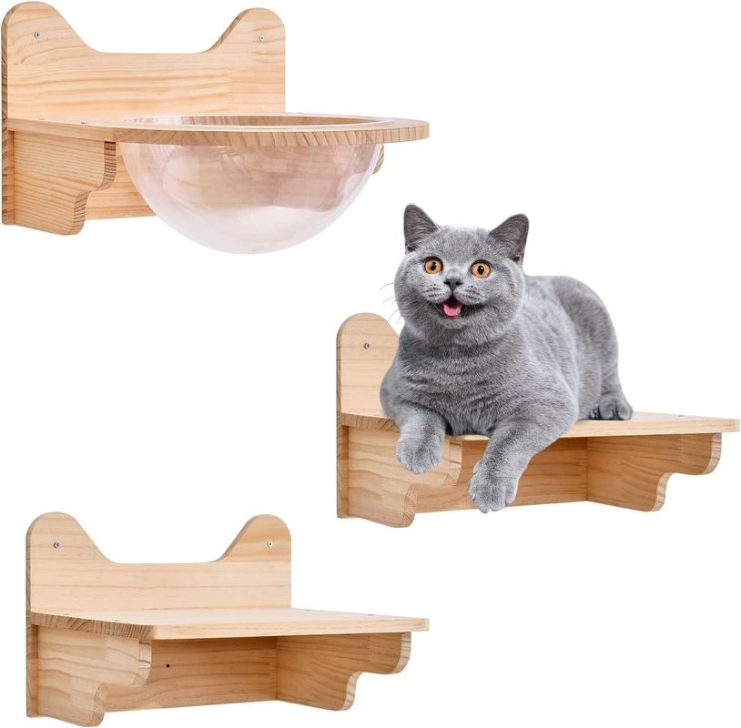 Wall-Mounted Wooden Cat Space Capsule House Transparent Furniture Set for Indoor Cats