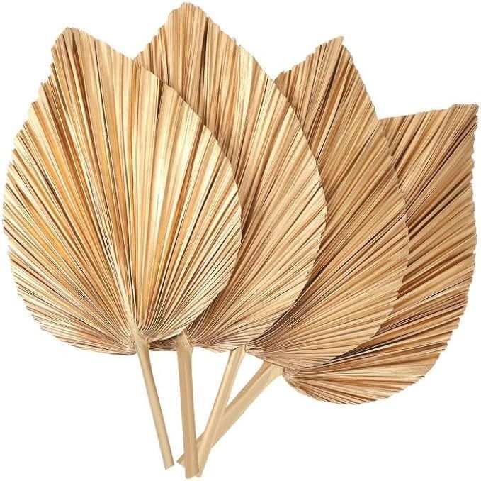 Vitalucks Logo Eco-Friendly Compostable Hand 4 Pcs Large Natural Gold Dried Palm Leaves