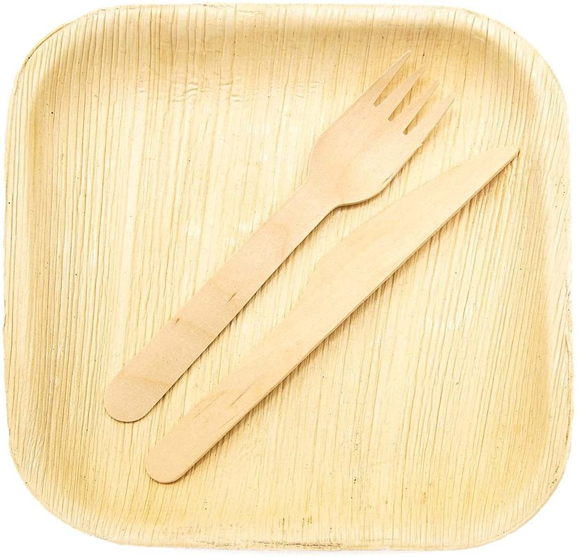 Eco-Friendly 20 Pack Biodegradable Palm Leaf Plates 10 Inch Square Sturdy Like Bamboo Disposable Elegant