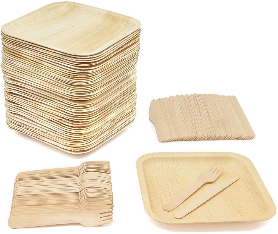 Engraved Palm Leaf Plates Compostable Bamboo-Style 6&quot; 8''10'' Square 25pk Eco Friendly