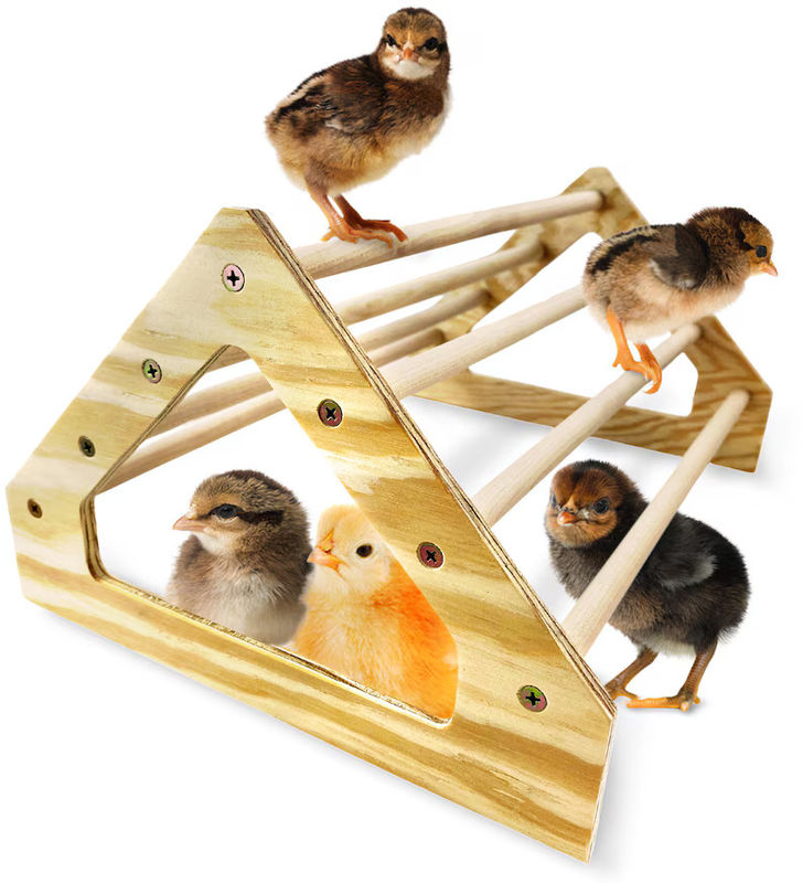 Gray Chick Perch Strong Wooden Jungle Gym Roosting Bar Chicken Toys for Coop and Brooder